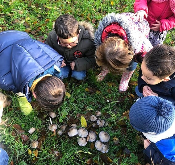 Sortie découverte de la nature © École communale du Centre - 2026
