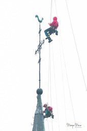 2021 - Descente du coq
© Morue M.